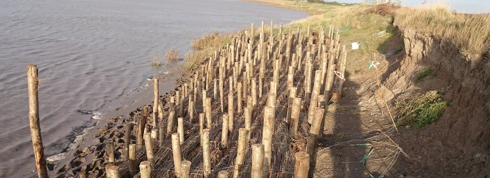 Erosion control using nature as your supplier